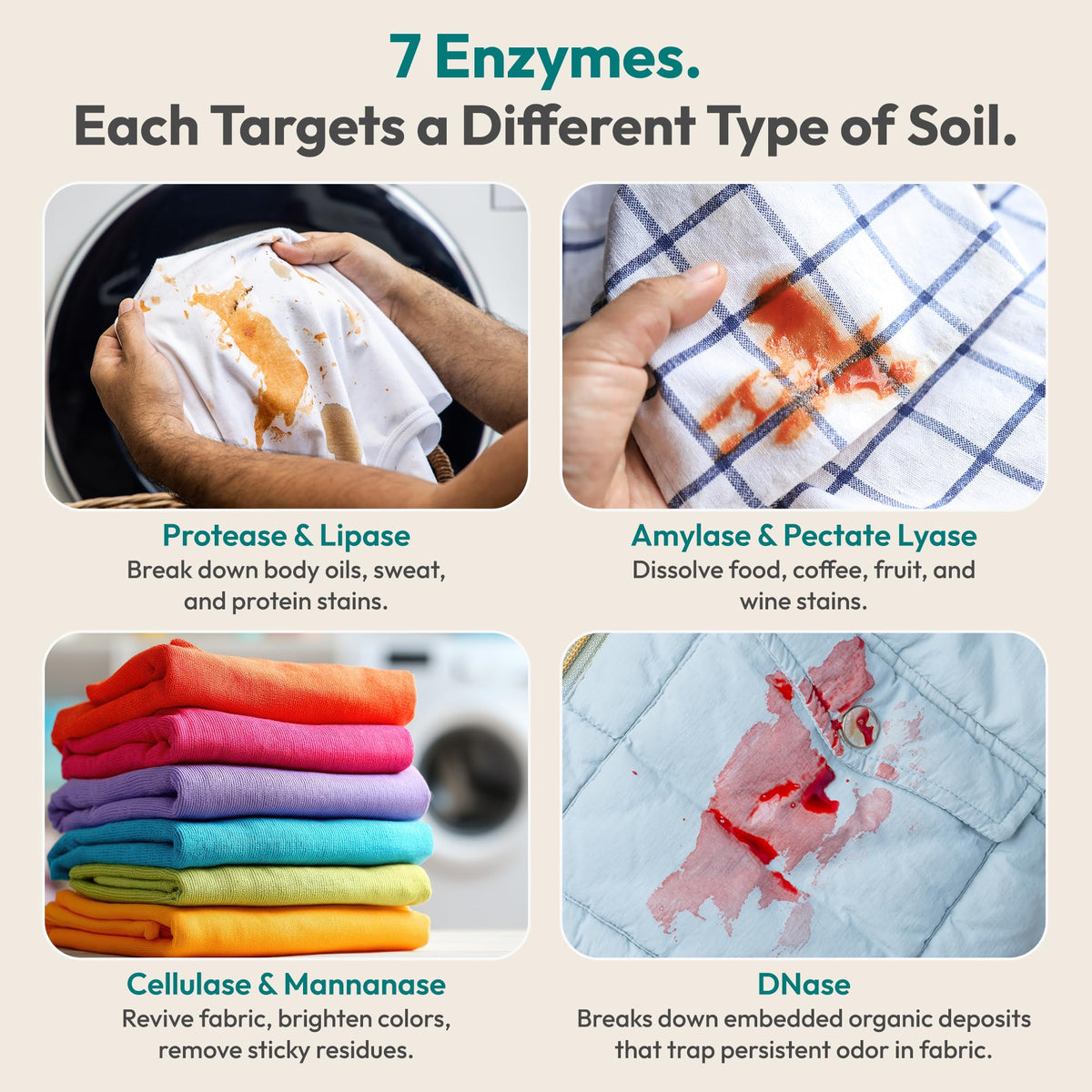 FEBU Enzyme Laundry Booster targets various stains, specially curated by Curat Cart for effective fabric care in India.
