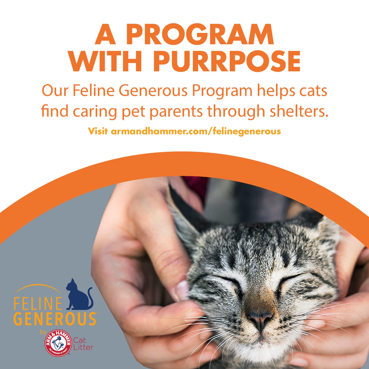 Discover Feline Pine Cat Litter at Curat Cart, specially curated for eco-friendly pet care in India. Transform your cat's litter experience.