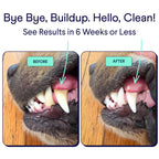 Finn Dental Powder for Dogs shows impressive before and after results, promoting oral health in high-quality packaging. Available at Curat Cart.