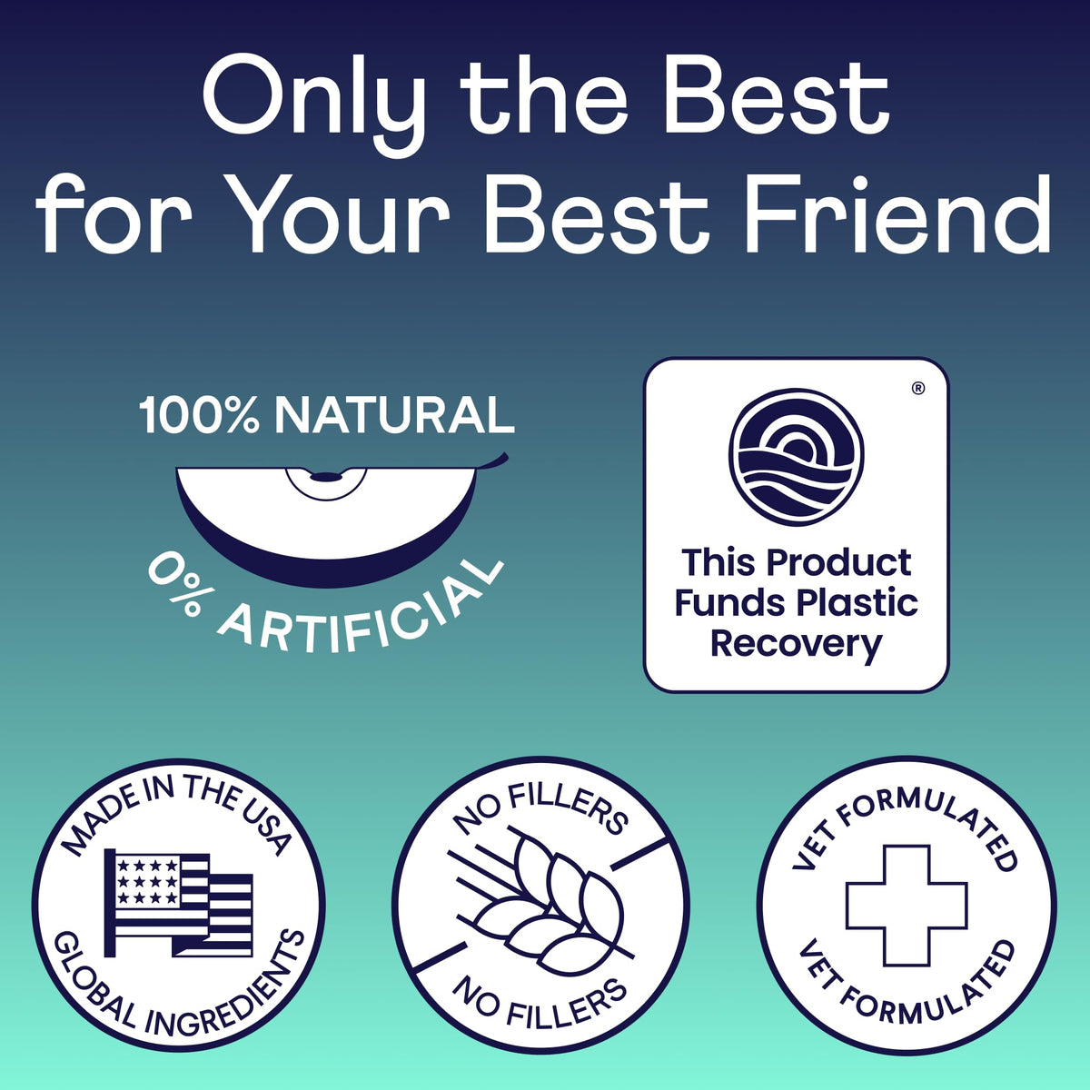 Finn Dental Powder for Dogs enhances oral health with 100% natural ingredients. Perfect for daily use, available at Curat Cart.