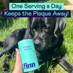Finn Dental Powder for Dogs in official packaging, promoting plaque control. Available at Curat Cart for optimal pet dental care.