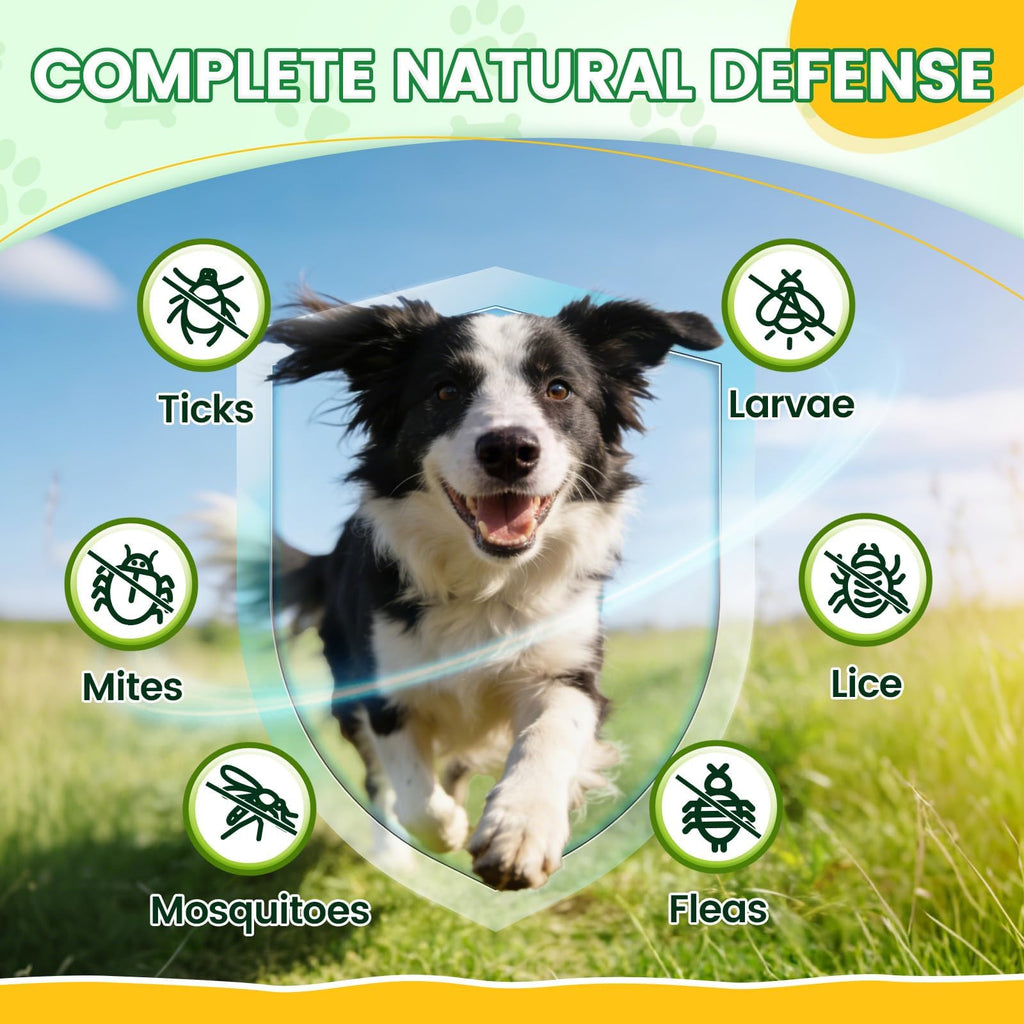 Complete natural defense against fleas, ticks, and more, specially curated by Curat Cart for your dog's protection.