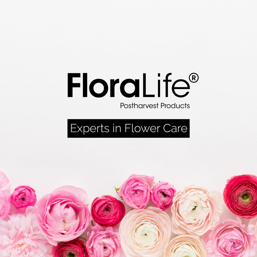 FloraLife Clear Crowning Glory features elegant floral branding in high-quality packaging, available at Curat Cart.
