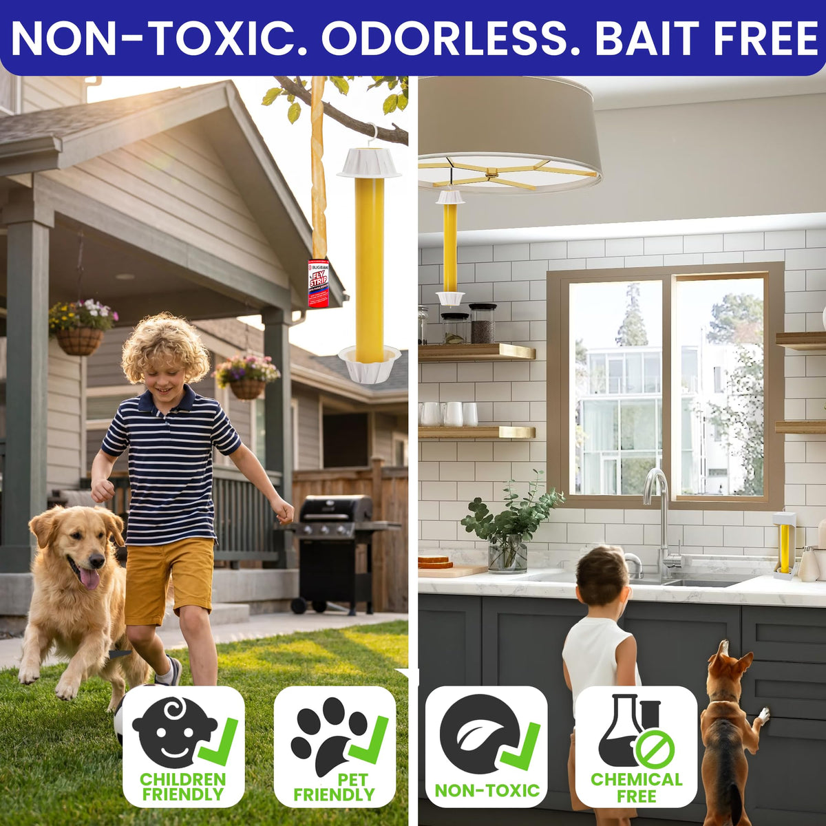 Sticky fly traps for home in official packaging, non-toxic and child-friendly. Available at Curat Cart.