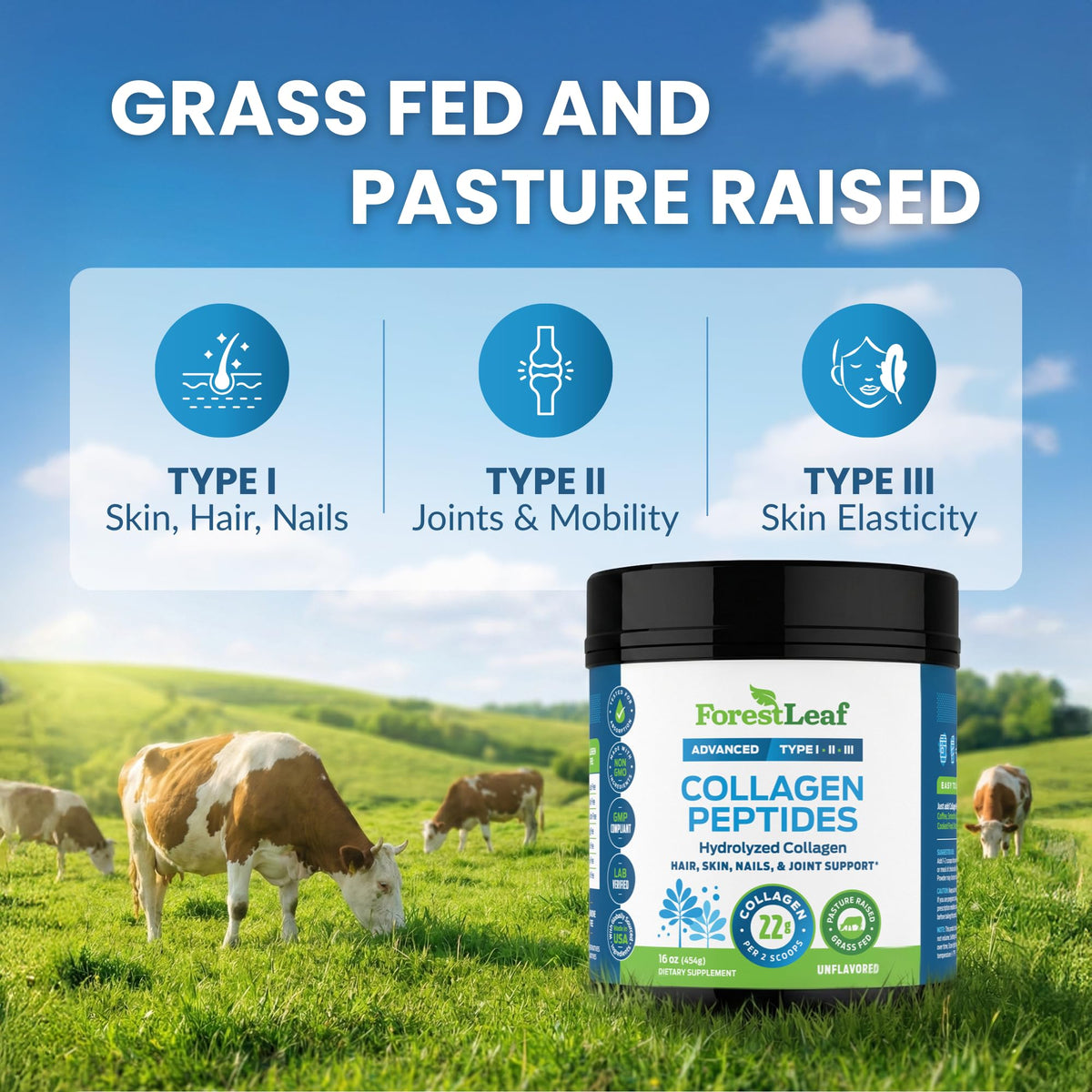 ForestLeaf Collagen Peptides Powder in original packaging, promoting skin, hair, and joint support. Grass-fed, pasture-raised formula.