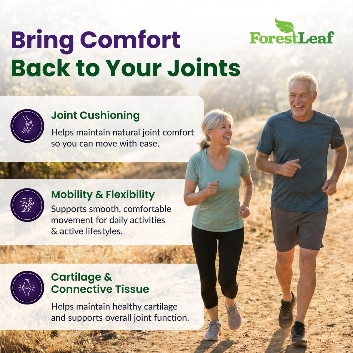 ForestLeaf Glucosamine Chondroitin MSM ensures joint comfort, mobility, and flexibility. 100% Authentic, available at Curat Cart in India.