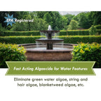 Fast acting Fountain Algaecide Clarifier in official packaging, effectively eliminates various algae types. Available at Curat Cart.
