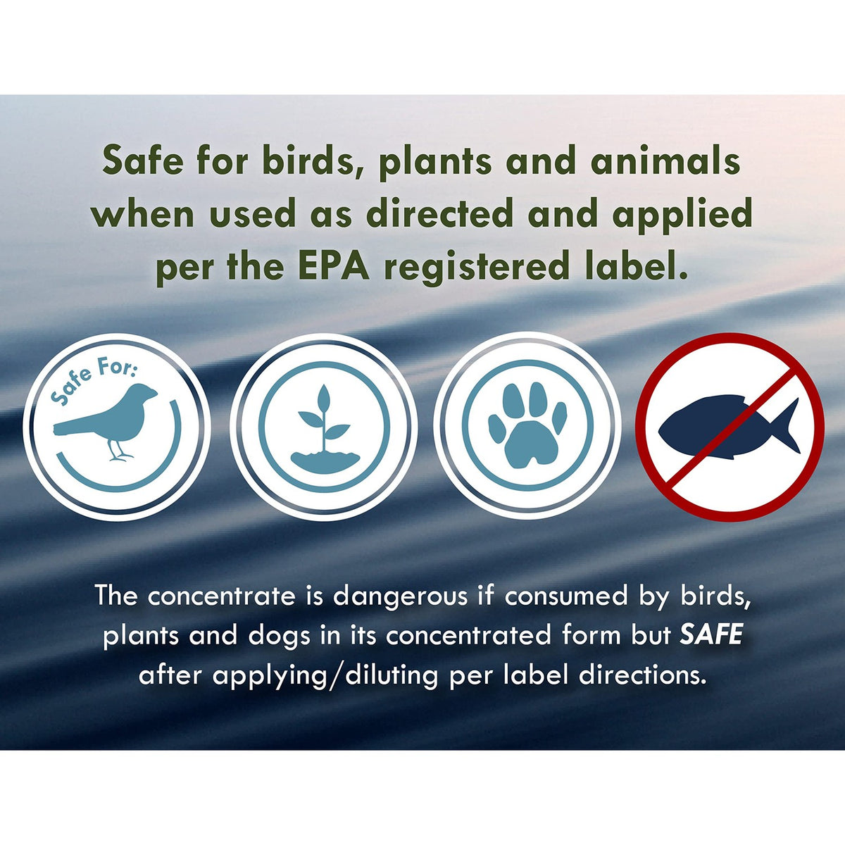 Fountain Algaecide Clarifier ensures safety for birds, plants, and animals. Perfect for effective algae control. Available at Curat Cart.