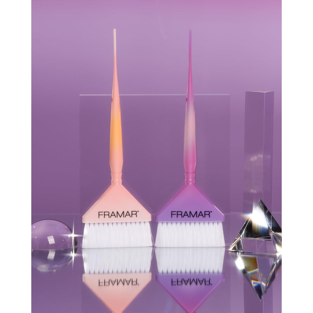 Premium imported Framar hair color brush set features two gradient brushes designed for precise application.
