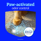 Fresh Step Advanced Odor Shield Litter offers paw-activated odor control with Febreze freshness. 100% Authentic, available in India at Curat Cart.