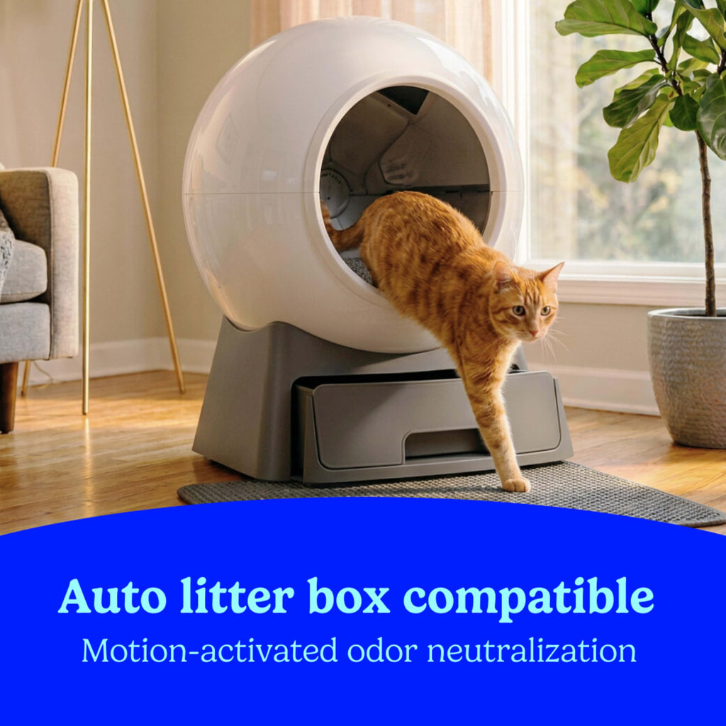 Fresh Step Advanced Odor Shield Litter enhances odor control in auto litter boxes. Perfect for daily use, available at Curat Cart.