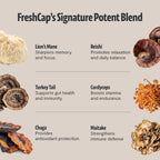 Experience Freshcap Mushroom Coffee's potent blend featuring Lion's Mane and Reishi for enhanced focus and relaxation. Perfect for daily use. Shop now at Curat Cart.