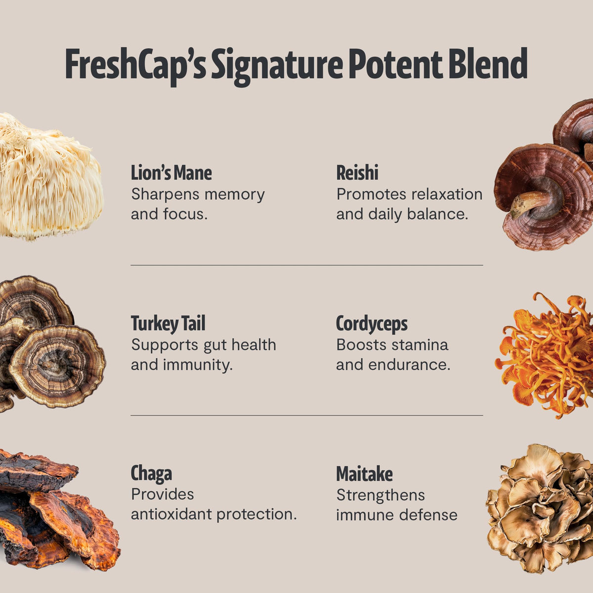 Experience Freshcap Mushroom Coffee's potent blend featuring Lion's Mane and Reishi for enhanced focus and relaxation. Perfect for daily use. Shop now at Curat Cart.