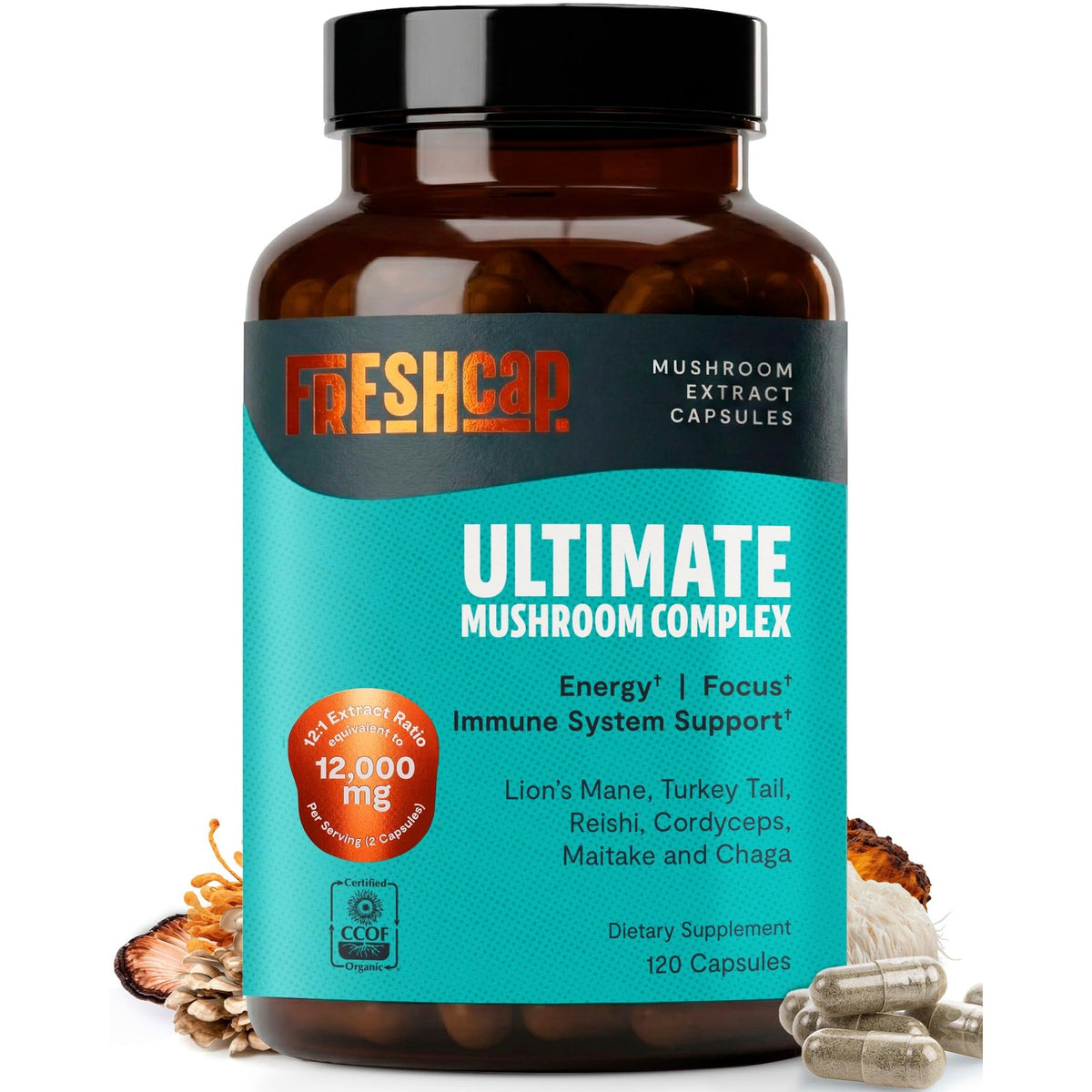 Freshcap Mushroom Coffee in high-quality packaging, delivering energy and focus through premium mushroom extracts. Available at Curat Cart.