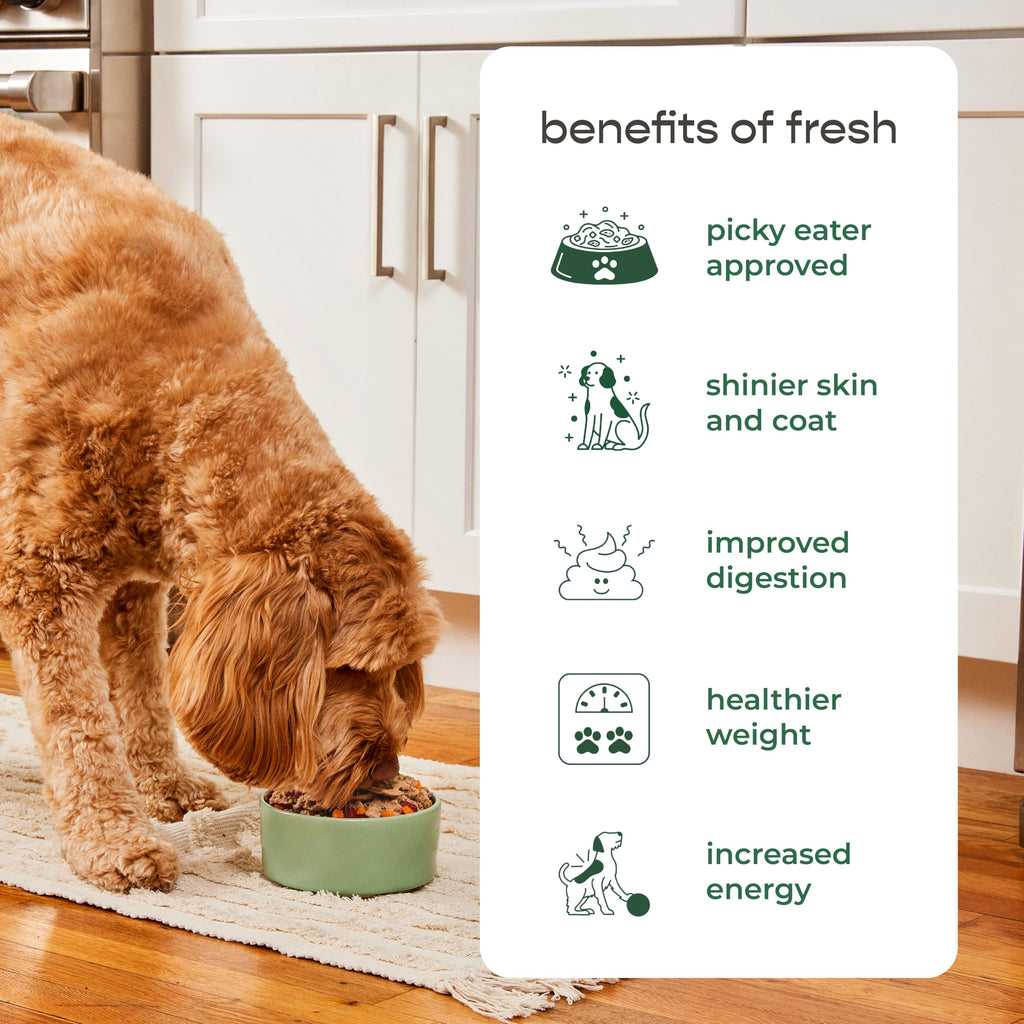 Freshpet Dog Joy Treats enhance your dog's diet with improved digestion and energy. Buy now at Curat Cart for a happier pet.