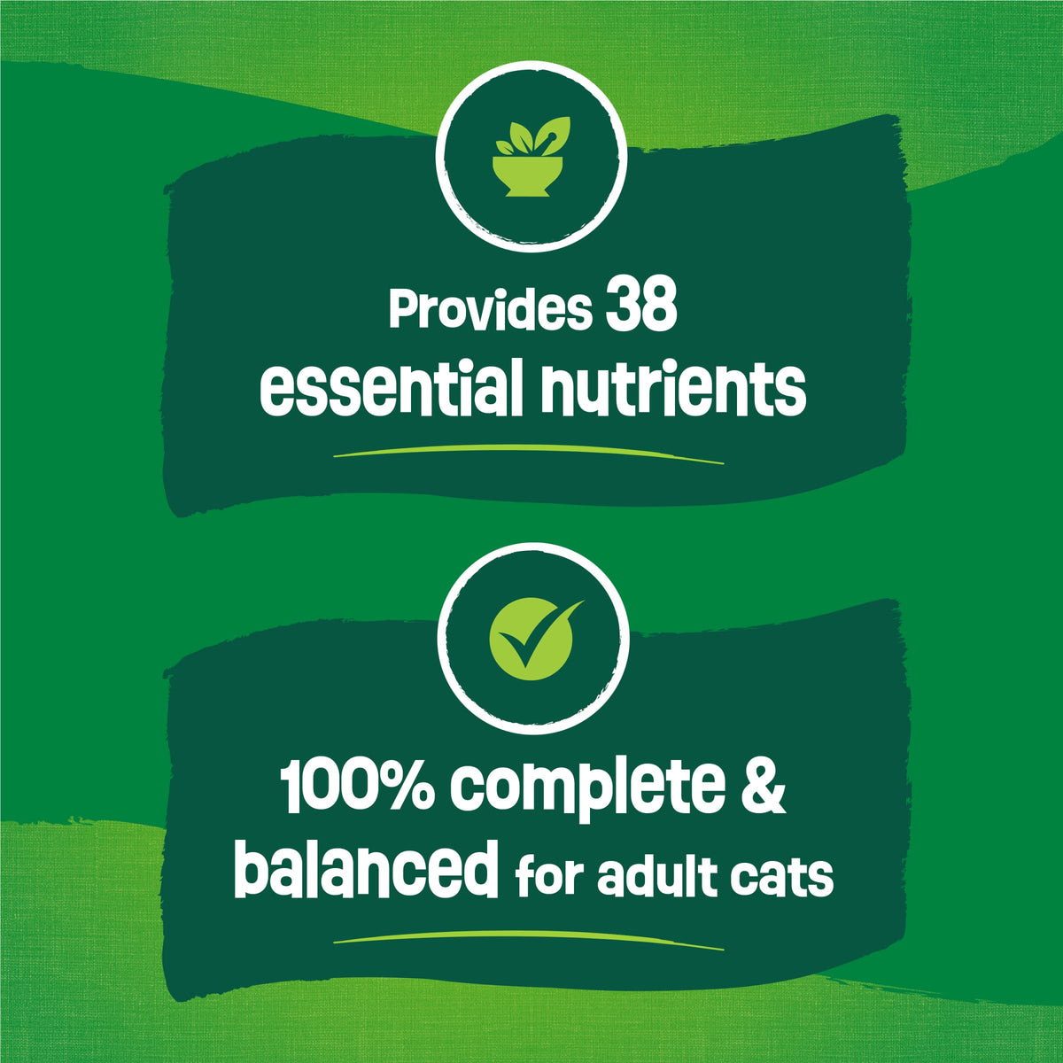 Friskies Indoor Dry Cat Food offers 38 essential nutrients, ensuring 100% complete and balanced nutrition for adult cats. Perfect for daily use at Curat Cart.