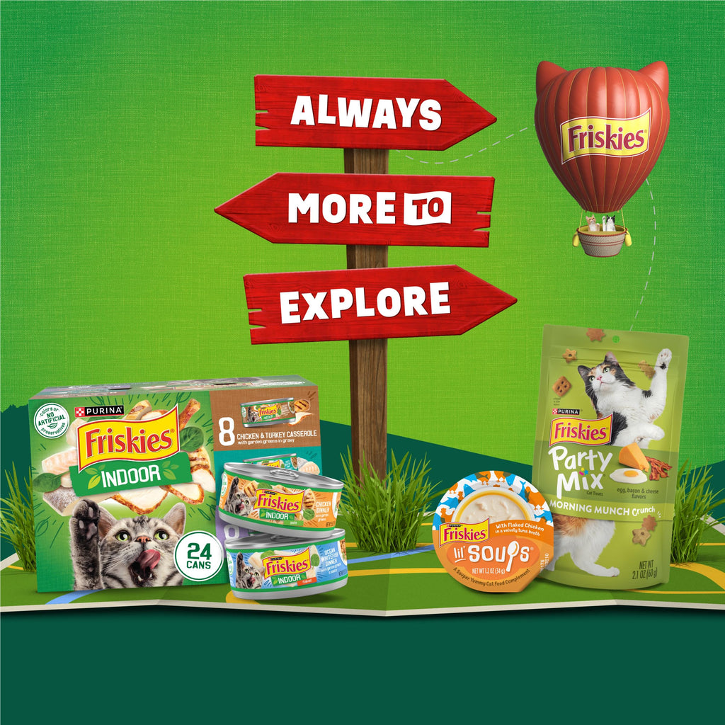 Friskies Indoor Dry Cat Food showcased among various flavors, perfect for your feline's daily nourishment. Available at Curat Cart.