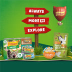 Friskies Indoor Dry Cat Food showcased among various flavors, perfect for your feline's daily nourishment. Available at Curat Cart.