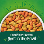Friskies Indoor Dry Cat Food showcases vibrant, high-quality kibble. Available at Curat Cart for your feline's delight.