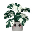 Authentic Funko POP! Jumbo Flora - Monstera, featuring a smiling plant in a charming pot. Perfect for collectors!