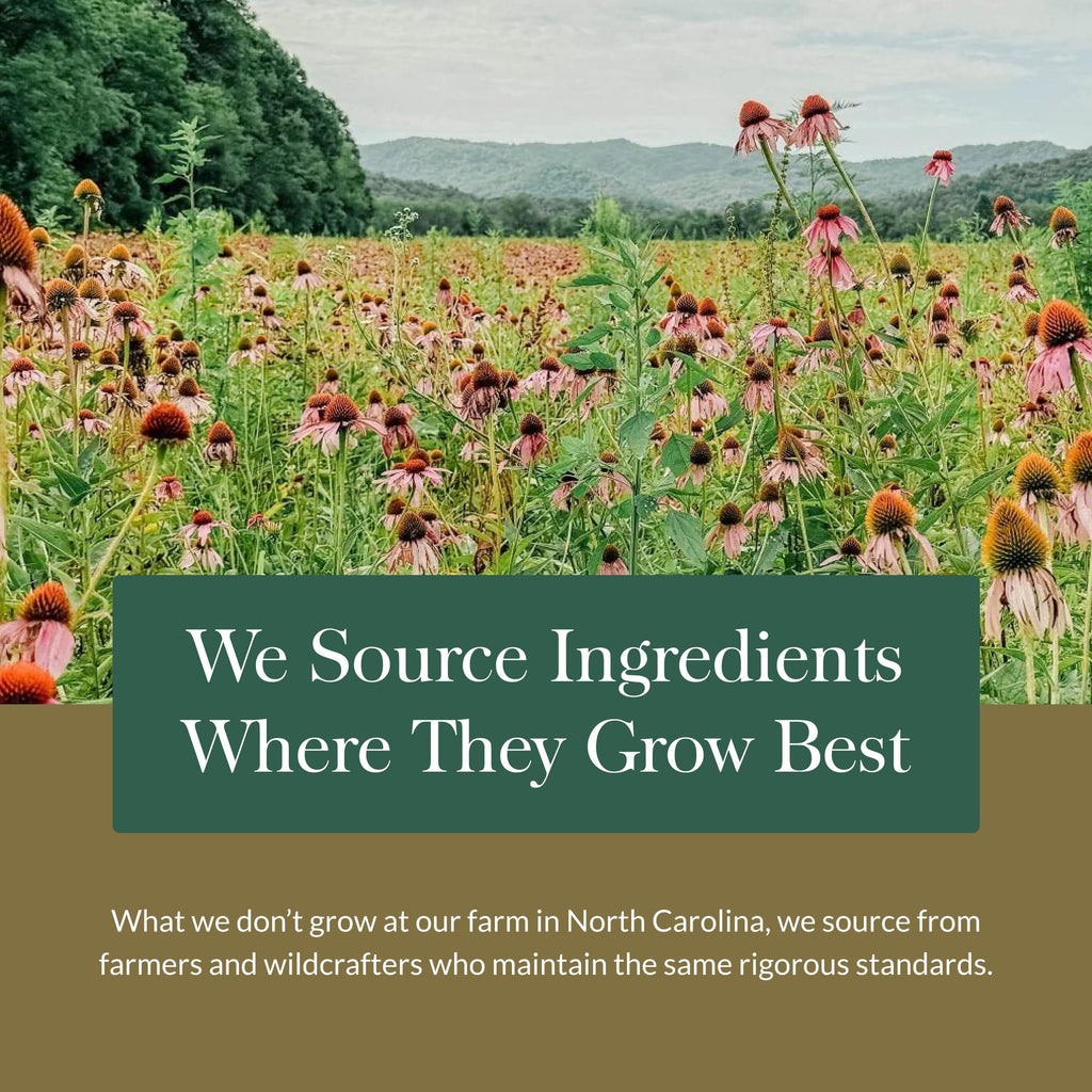 Specially curated by Curat Cart, Gaia Herbs Berberine Milk Thistle showcases premium ingredients sourced from the best farms.