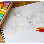 Explore the Giftexpress Sketch Book Set, featuring exquisite cat sketches and vibrant colored pencils, specially curated by Curat Cart.