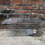 Discover the premium imported Gingbau Squirrel Trap, designed for effective pest control. Available at Curat Cart.