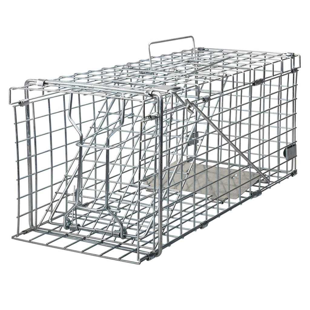 Premium imported Gingbau Squirrel Trap for safe animal capture, available at Curat Cart. Effective and durable for humane trapping.