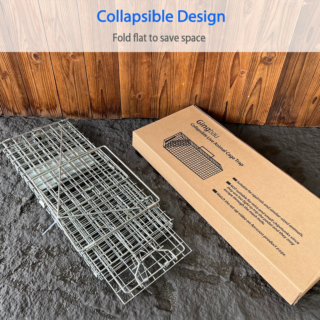 Gingbau Squirrel Trap features a collapsible design, perfect for space-saving storage. Available at Curat Cart.