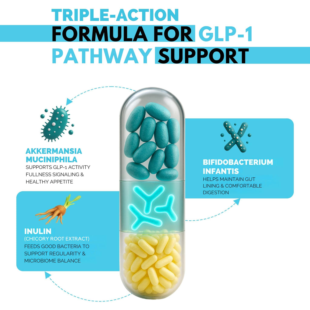 GLP-1 Probiotic Appetite Suppressant with Akkermansia muciniphila, Bifidobacterium infantis, and Inulin. 100% Authentic, available at Curat Cart in India.