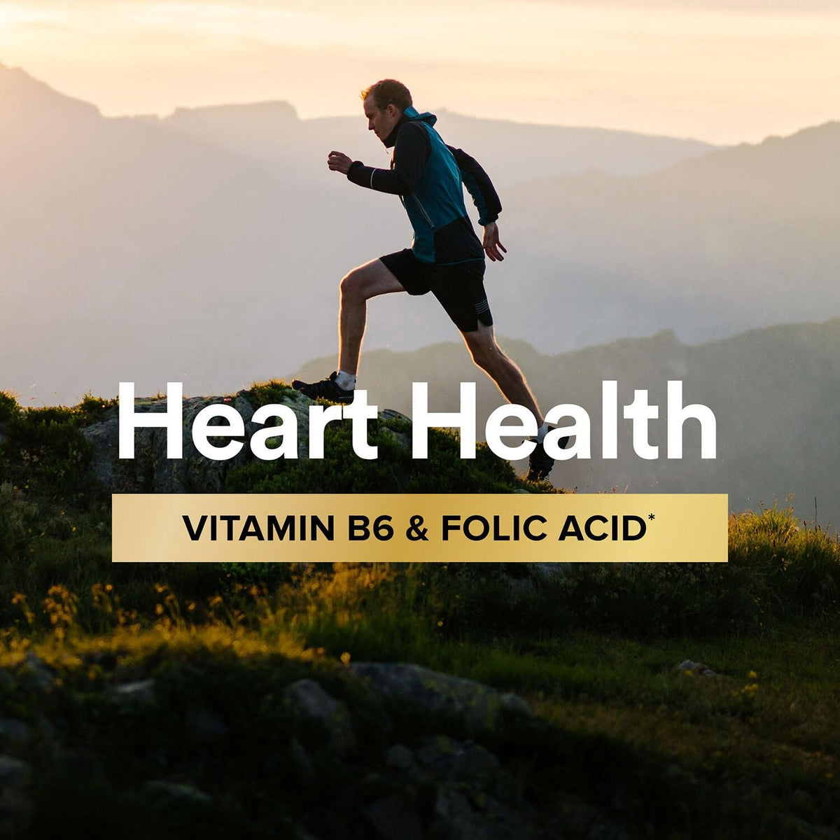 GNC Mega Men Multivitamin Caplets support heart health. Premium imported vitamins for vital energy and wellness.