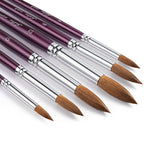 Discover the Golden Maple Watercolor Brushes Set, a premium import perfect for artists, available at Curat Cart.
