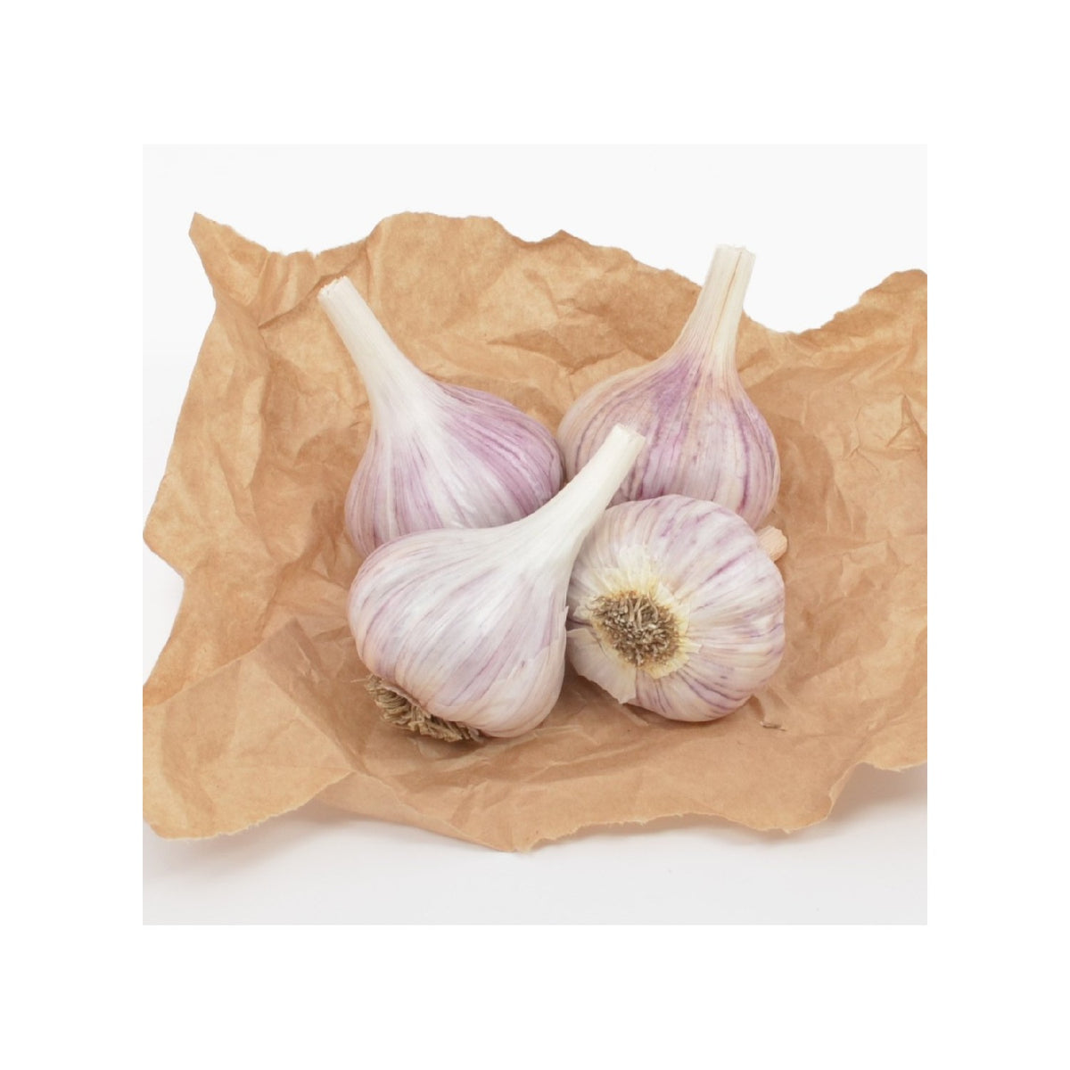 Discover 100% authentic Gourmet Chesnok Red Garlic Bulbs, available at Curat Cart in India. Elevate your cooking today.