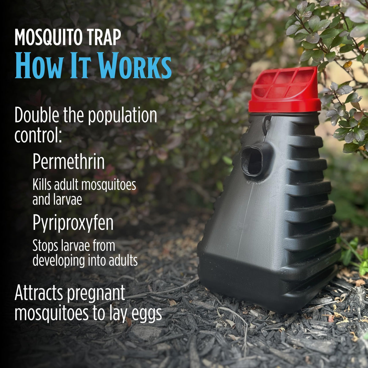 Grandpa Gus Mosquito Trap effectively controls mosquito populations with proven ingredients. 100% Authentic, available at Curat Cart.