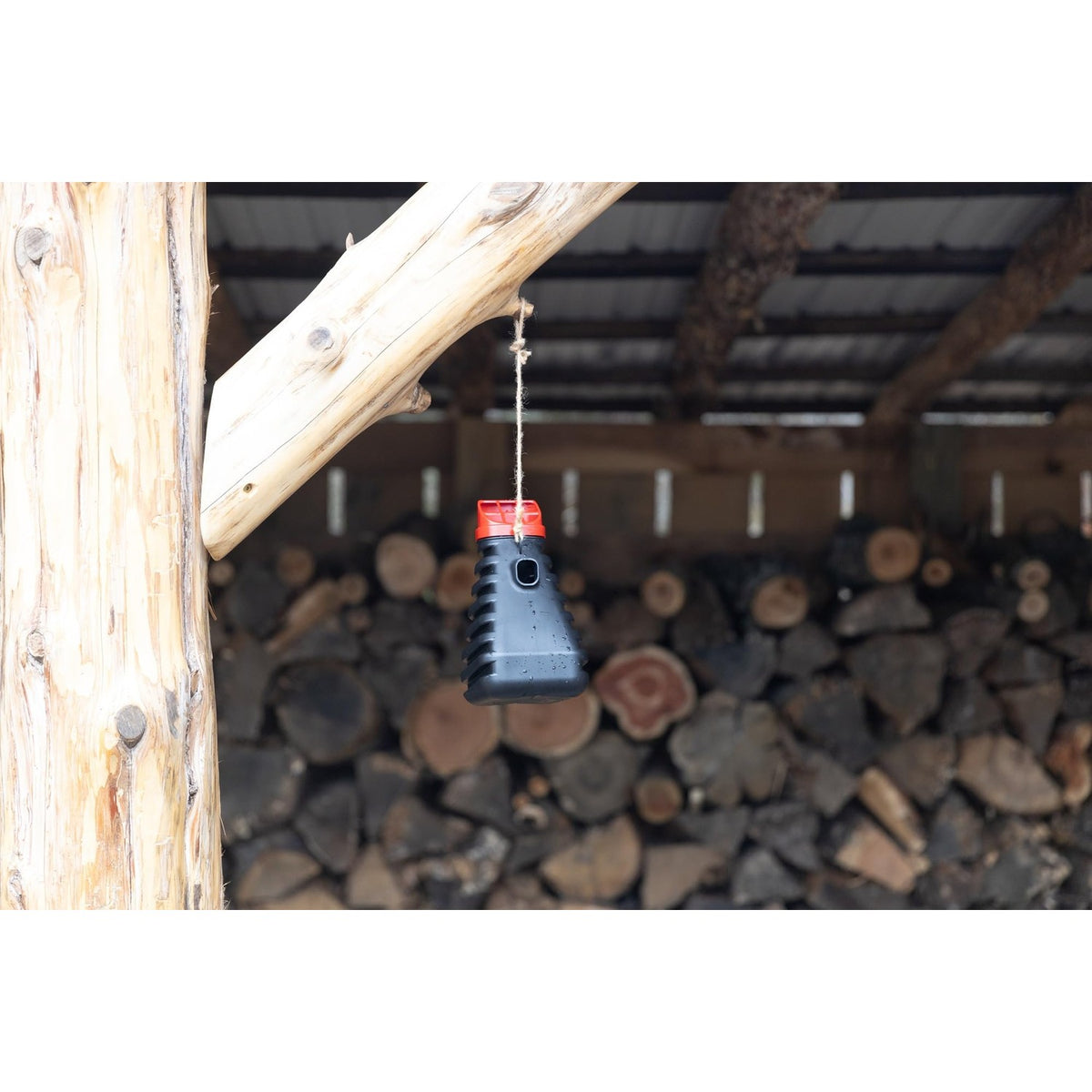 Discover the premium imported Grandpa Gus Mosquito Trap, an international favorite available at Curat Cart for effective mosquito control.