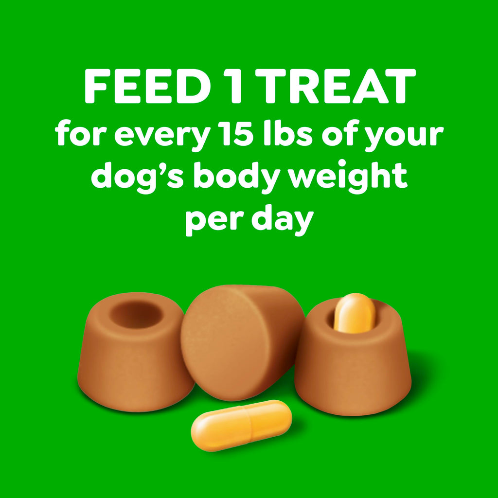 Greenies Pill Pockets dog treats, specially curated by Curat Cart, perfect for making medication time enjoyable for your dog.