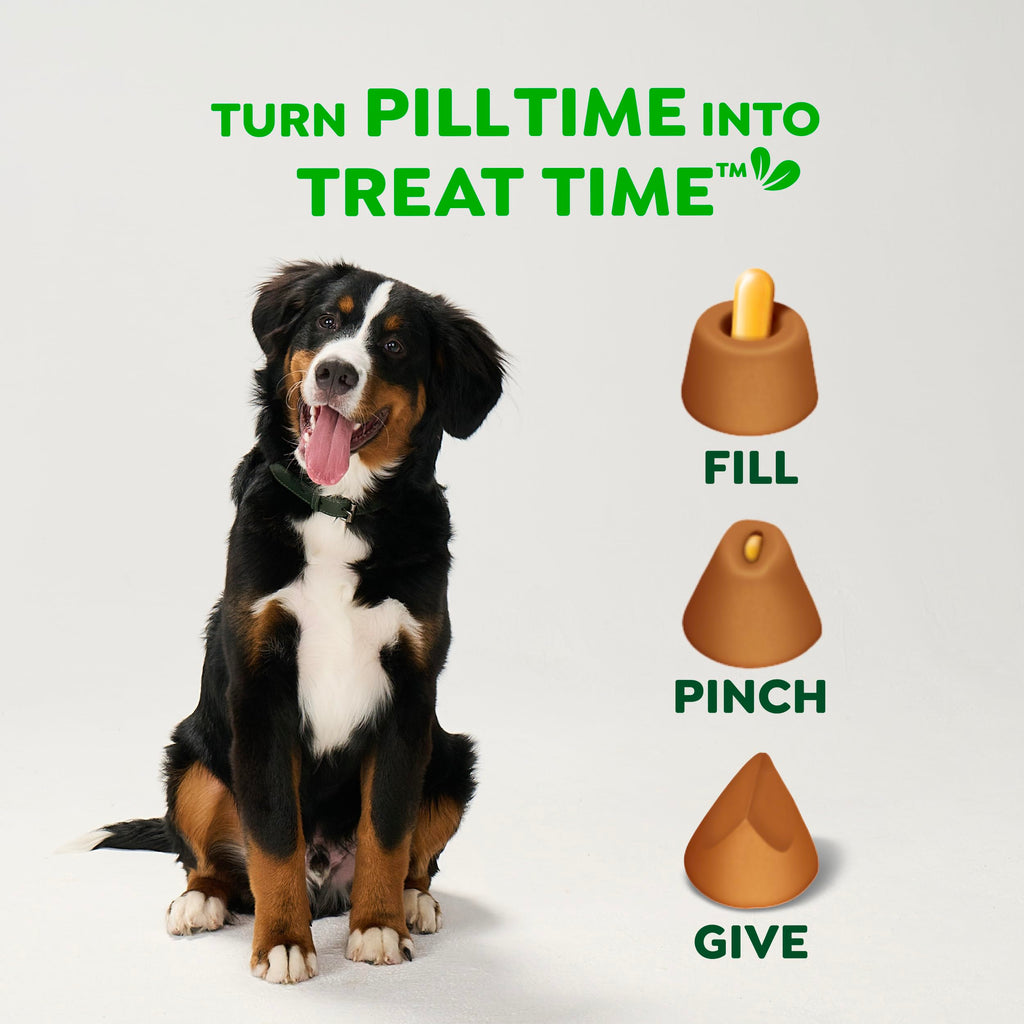 Greenies Pill Pockets Dog Treats in high-quality packaging, perfect for making pill time enjoyable. Available at Curat Cart.