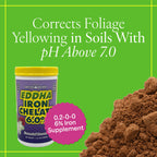 Grow More EDDHA Iron Chelate corrects foliage yellowing in high pH soils. 100% Authentic, available at Curat Cart.