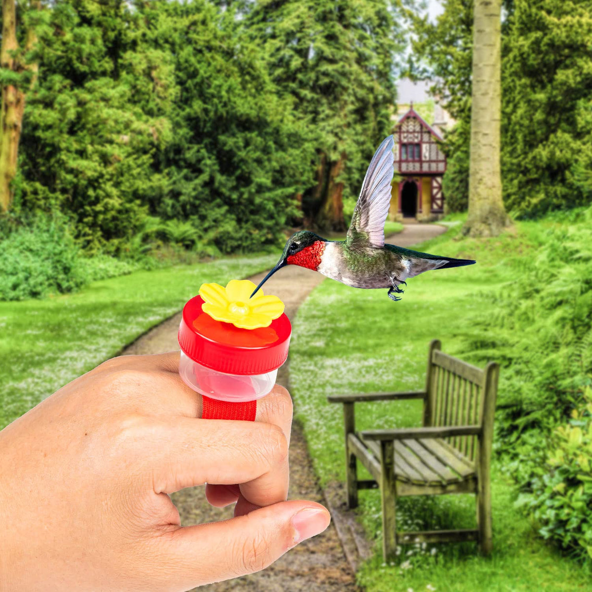 Delight in nature with Hummingbird Ring Feeders, perfect for attracting birds. Elevate your outdoor experience with Curat Cart.
