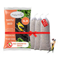 Happy Wings Thistle Seed Bird Food, a premium import, offers nutritious feed for colorful finch species. Available at Curat Cart.