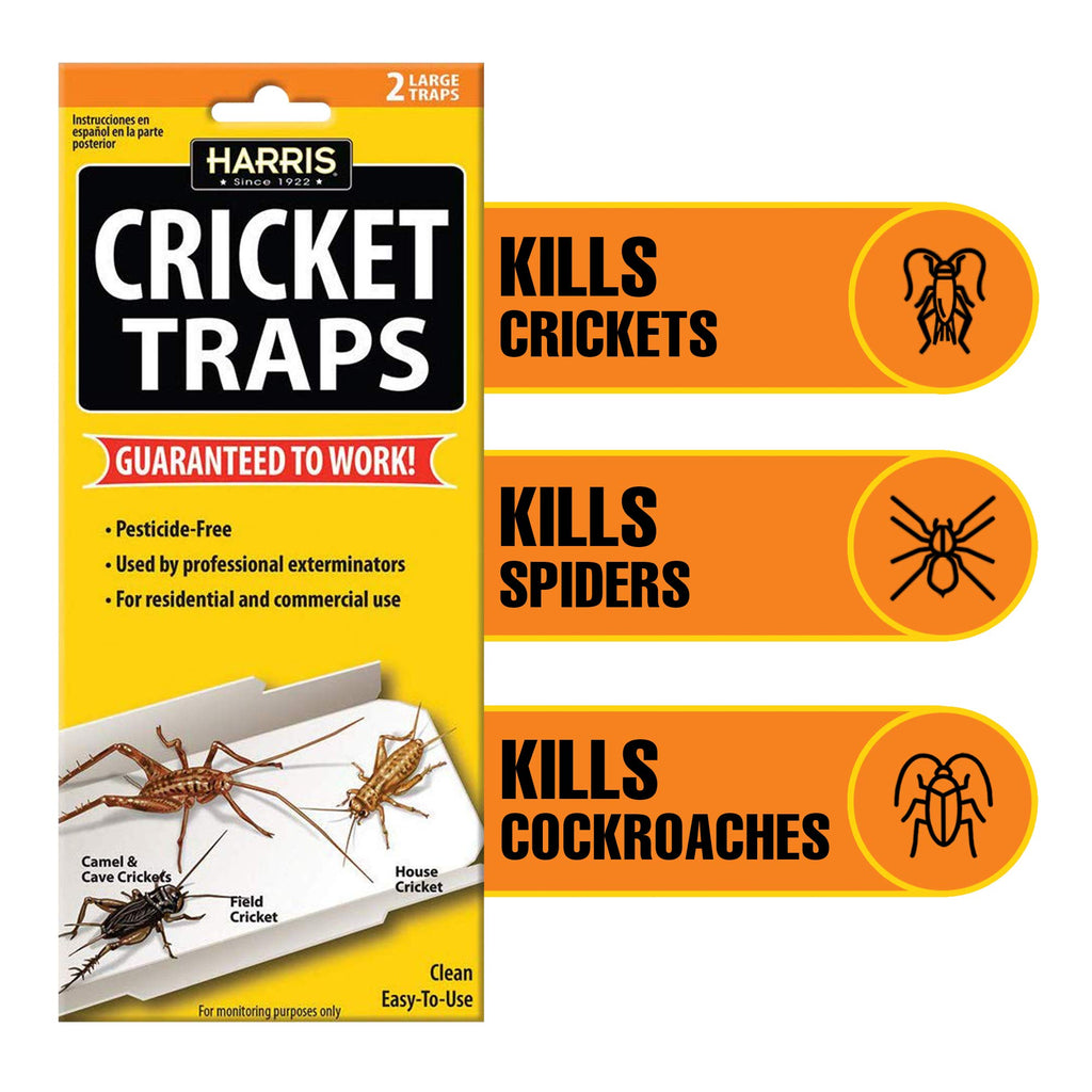 Harris Cricket Glue Traps in official packaging, designed to effectively kill crickets, spiders, and cockroaches. Available at Curat Cart.