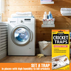 Harris Cricket Glue Traps effectively eliminate crickets, perfect for home use in humid areas. Available at Curat Cart.