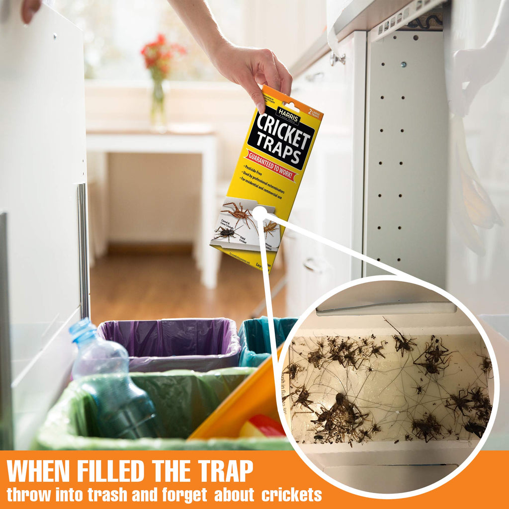 Harris Cricket Glue Traps ensure effective pest control, available in India at Curat Cart for 100% authentic solutions.
