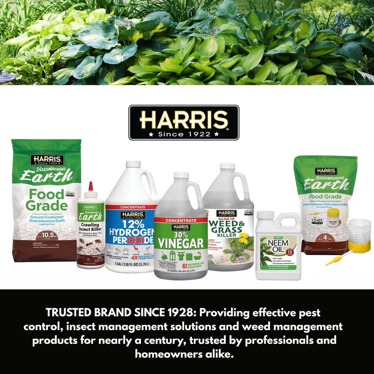 Harris Diatomaceous Earth Food Grade, 100% Authentic, available in India at Curat Cart, trusted for pest control solutions.