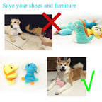 Discover exclusive soft dog squeaky toys, specially curated by Curat Cart to save your shoes and furniture. Perfect for playful pets.
