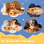 Discover the Heartbeat Puppy Calming Set, perfect for soothing your pup. Available at Curat Cart for daily comfort and relaxation.