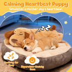 Calming Heartbeat Puppy Set in official packaging, designed to soothe pets by simulating a mother's heartbeat. Available at Curat Cart.