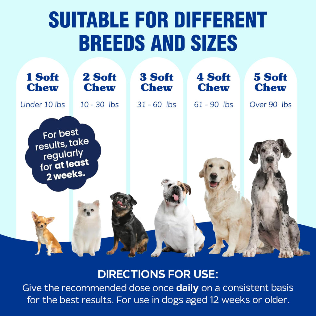 Hemp Calming Chews for Dogs infographic showing dosage for various breeds, highlighting quality and effectiveness. Available at Curat Cart.