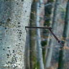 Highwild Tree Stand Bow Hanger displayed on a tree, showcasing durable design and high-quality finish, available at Curat Cart.