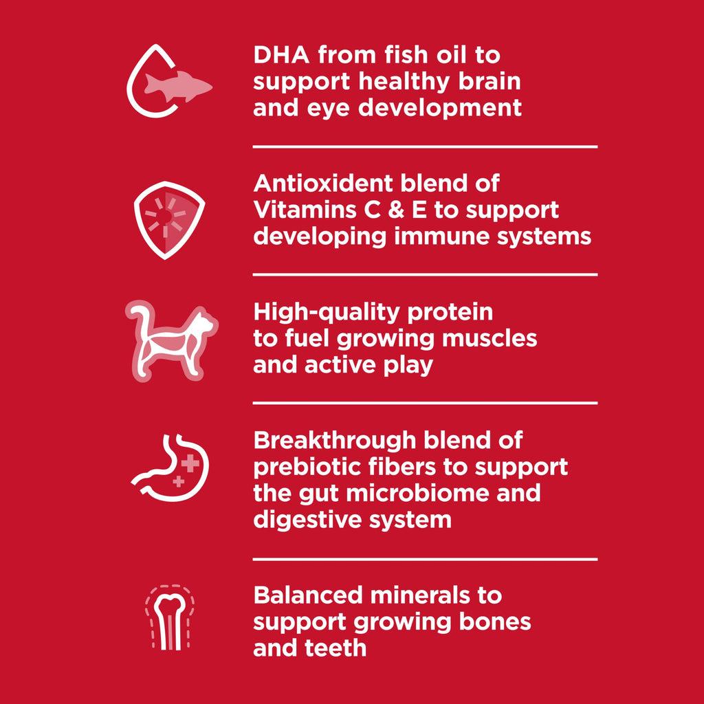 Specially curated by Curat Cart, Hill's Science Diet Kitten Formula offers DHA for brain development and high-quality protein for active play.